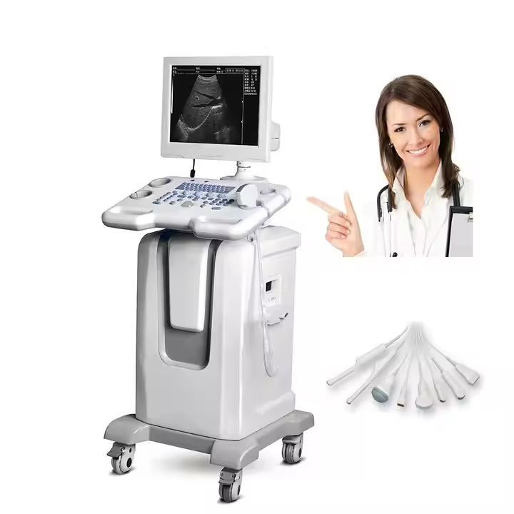 218-Trolley-Based Medical Ultrasound Instruments for Efficient Medical Imaging.jpg